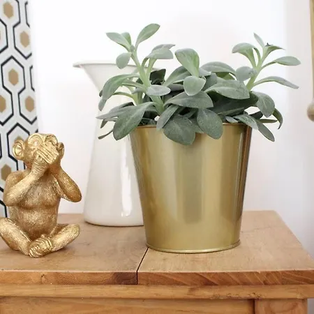 Authentique & Agreable Maison Auch